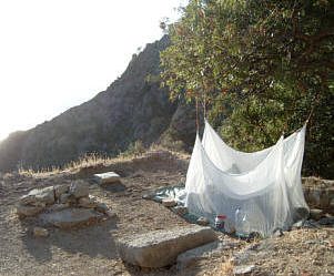 Reginas M&uuml;ckenzelt