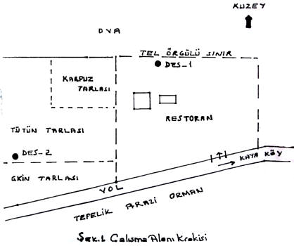 Sek. 1 - Calisma Alani Krakisi
